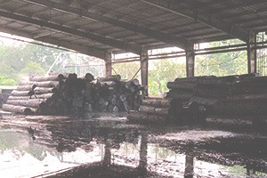 Вијетнам има више увоза удела америчког тврдог дрвета