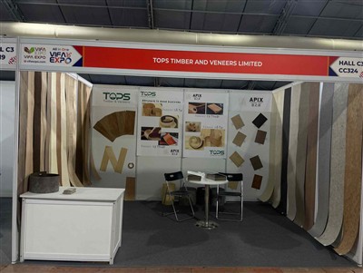 Изложба међународног намештаја и намештаја намештаја (Вифа 2025) у марту 2025...