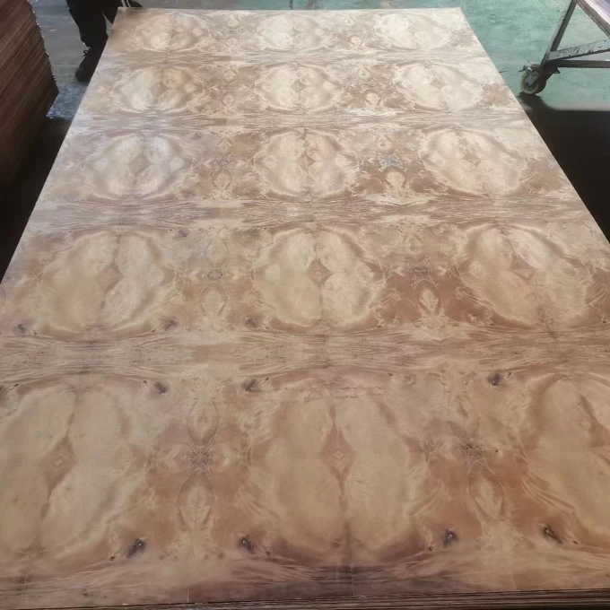 product-680-680 product-680-680